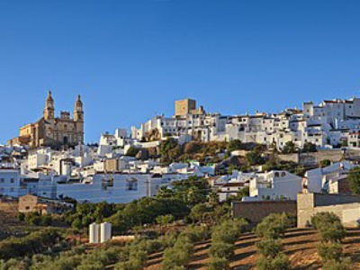 Olvera